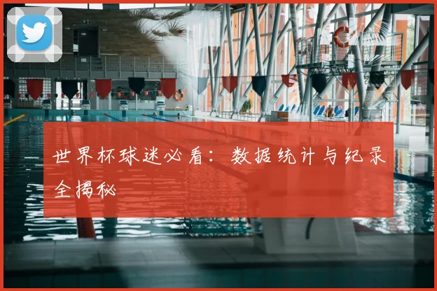 世界杯球迷必看：数据统计与纪录全揭秘