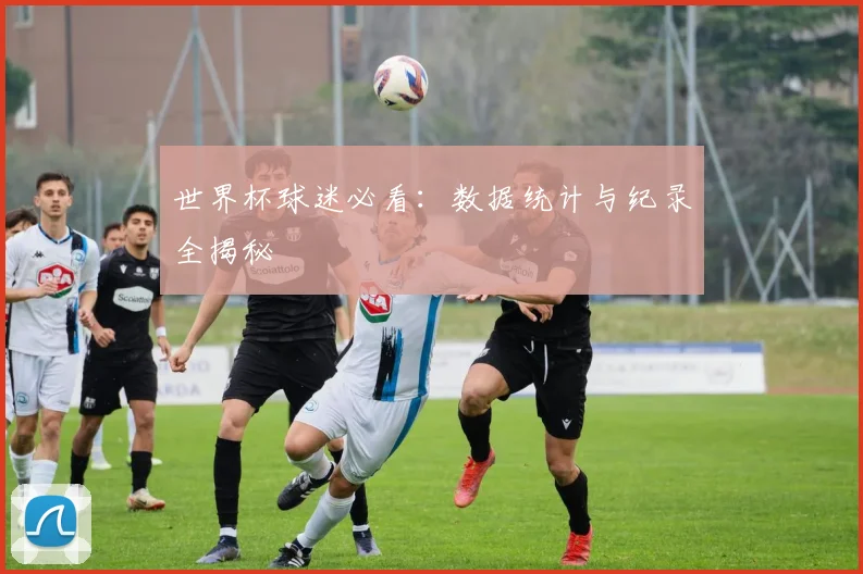 世界杯球迷必看：数据统计与纪录全揭秘